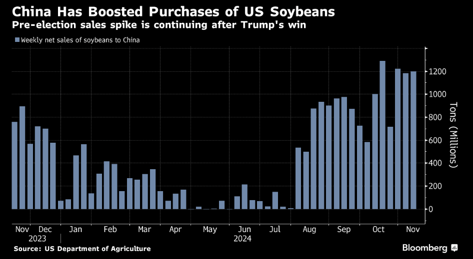 外媒：美国大选以来，中国继续购买美国大豆