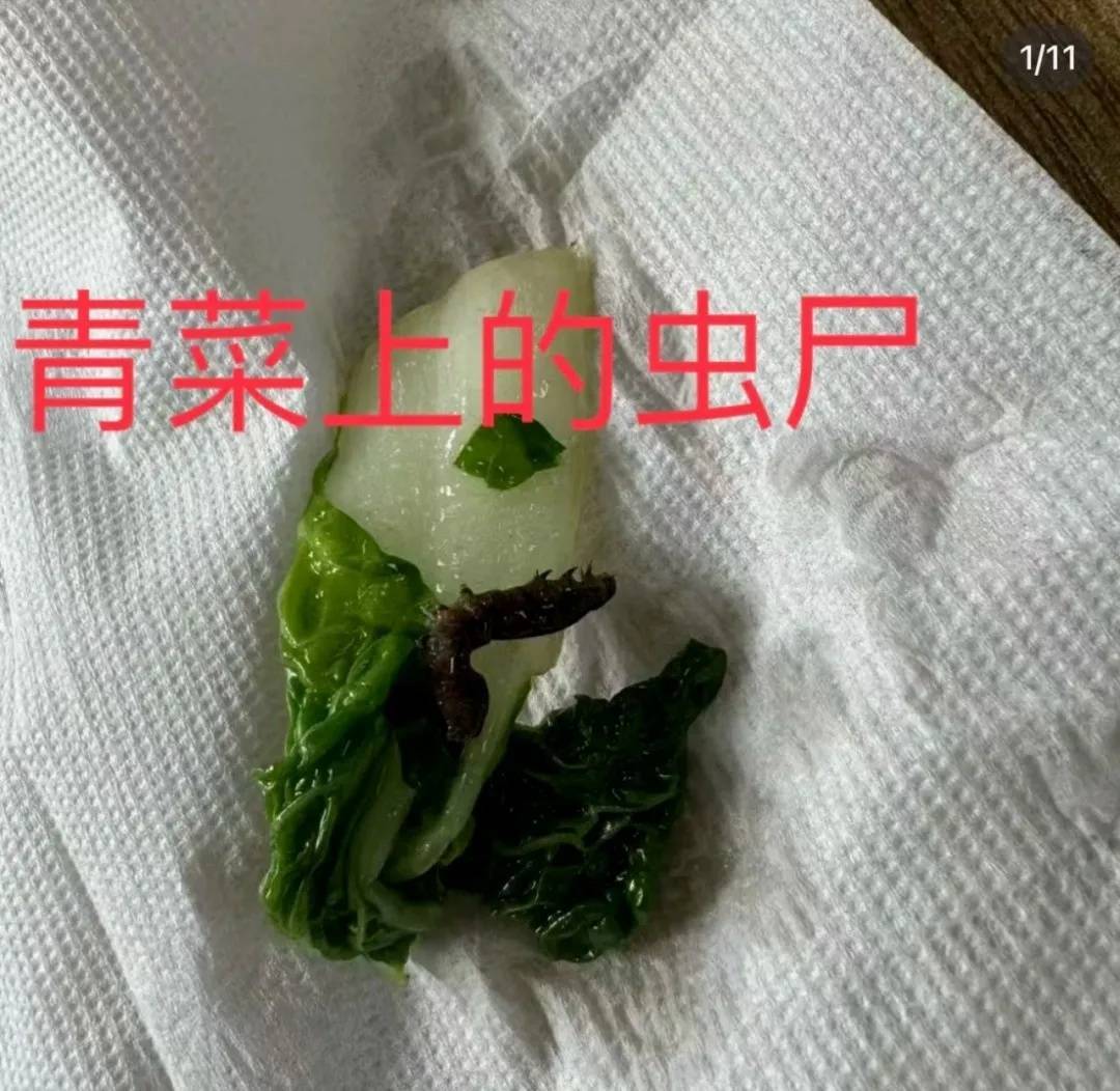 上海世外临港学校食材腐败发霉！据统计：超百学生曾出现腹泻等症状